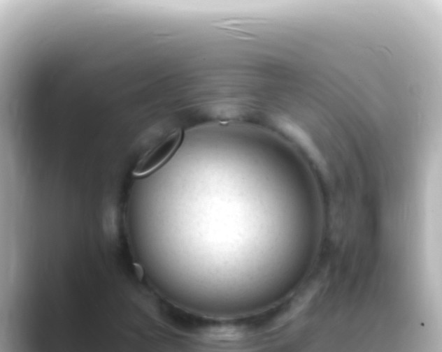 X0000089440161200706221235