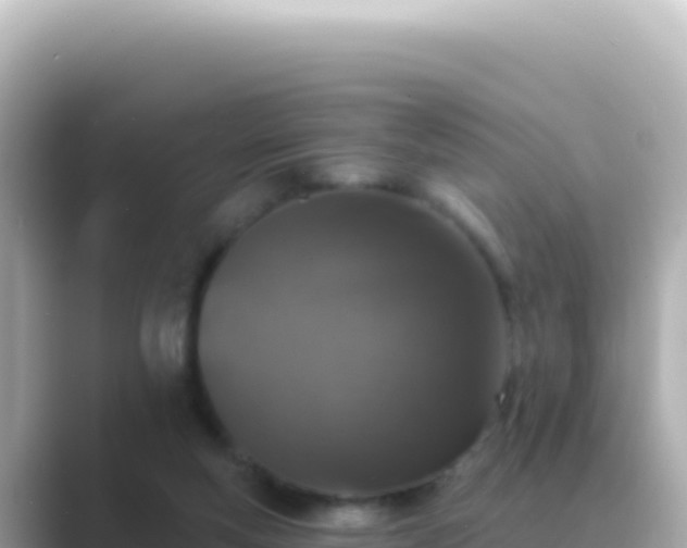 X0000089440163200706221235