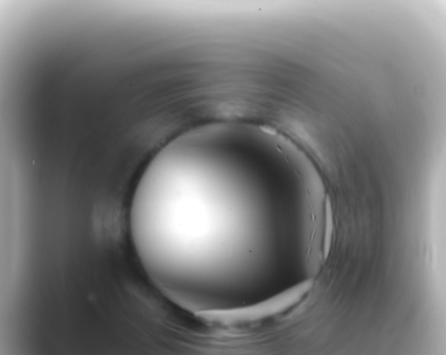 X0000089440164200706221235