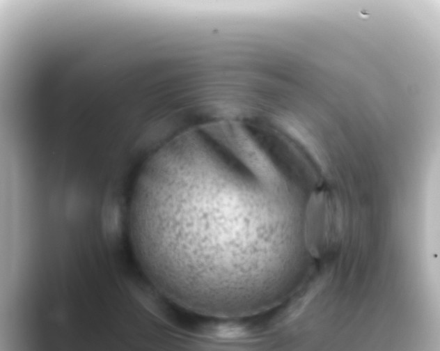 X0000089440165200706221235