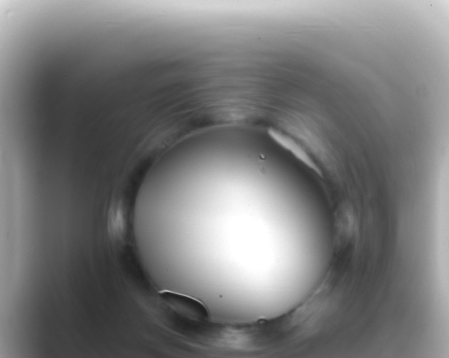 X0000089440166200706221235