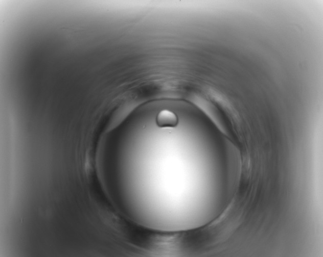 X0000089440170200706221235