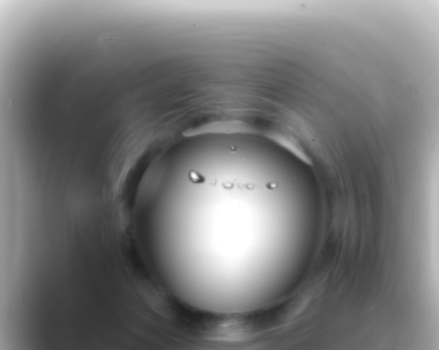 X0000089440173200706221235