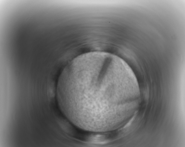 X0000089440174200706221235