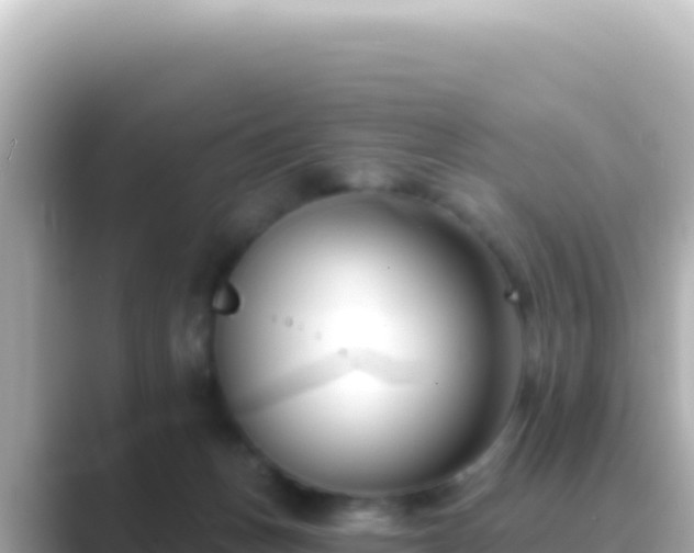 X0000089440175200706221235