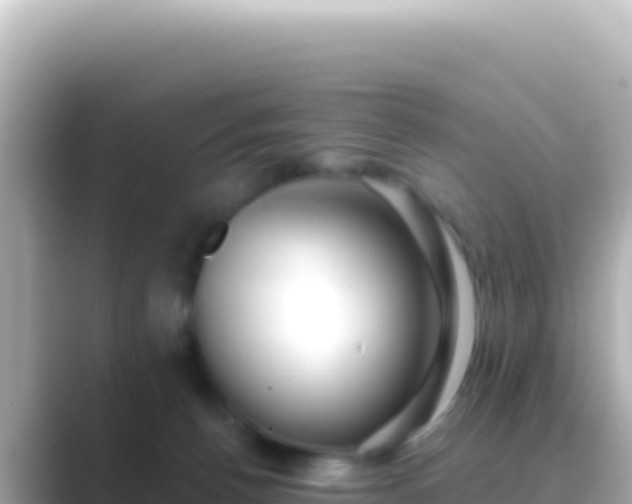 X0000089440176200706221236
