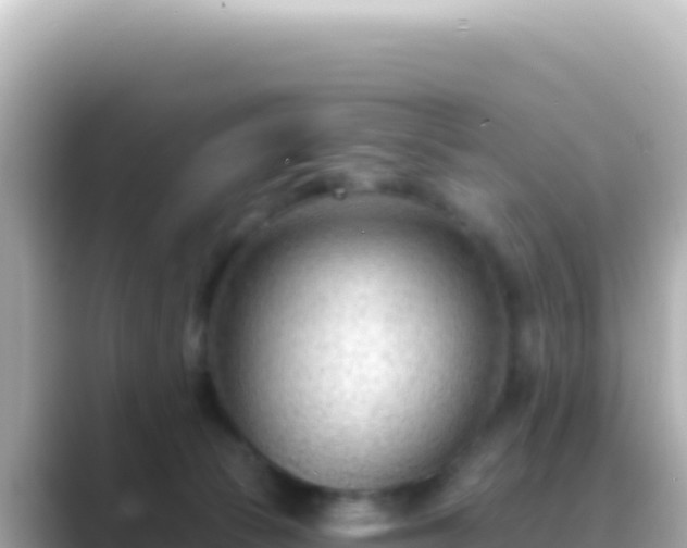 X0000089440177200706221236