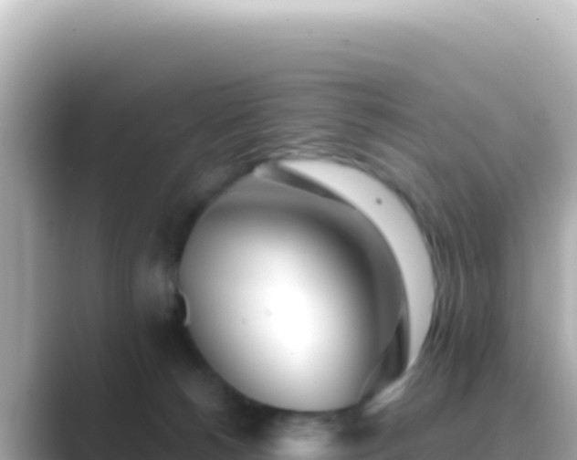 X0000089440180200706221236