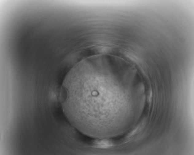 X0000089440181200706221236