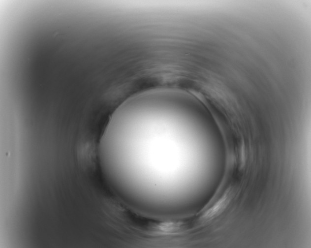 X0000089440184200706221236
