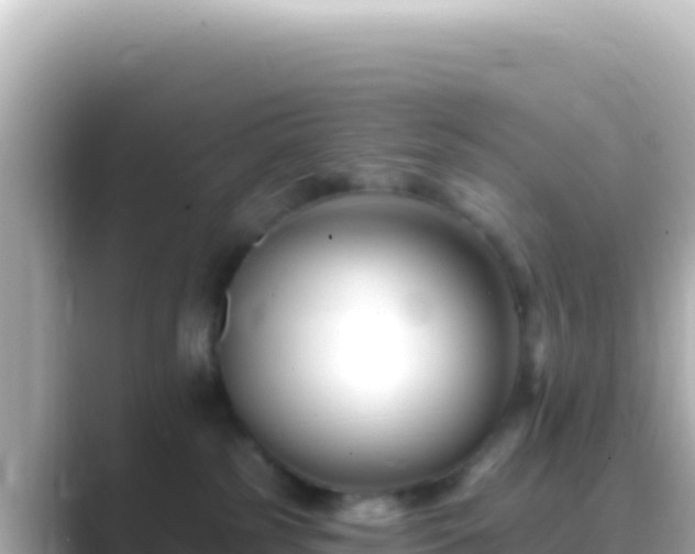 X0000089440185200706221236