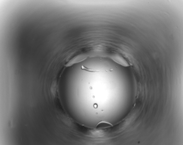X0000089440189200706221236