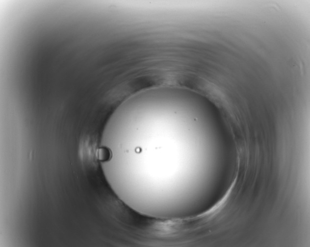 X0000089440190200706221236
