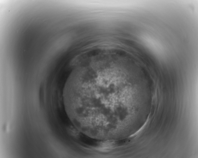 X0000089440191200706221236
