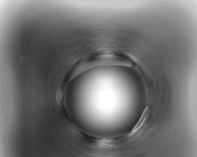 X0000089440192200706221236