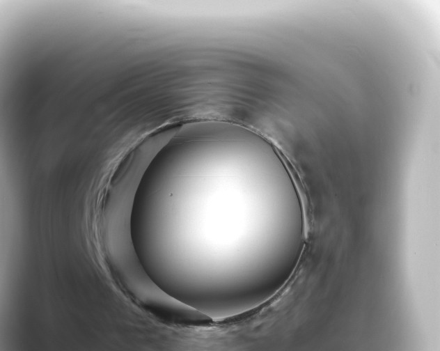 X0000089440193200706221235