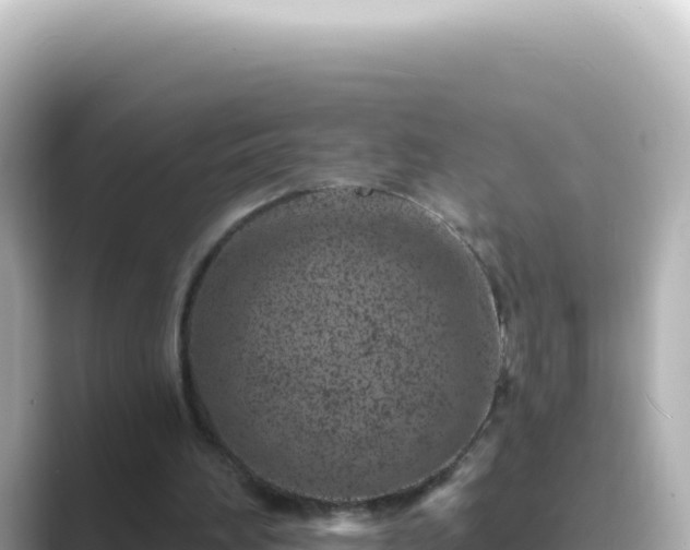 X0000089440196200706221235