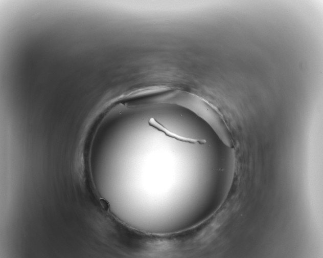 X0000089440198200706221235