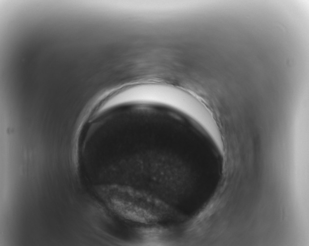 X0000089440200200706221235