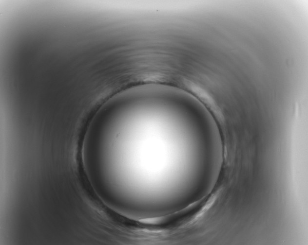 X0000089440201200706221235