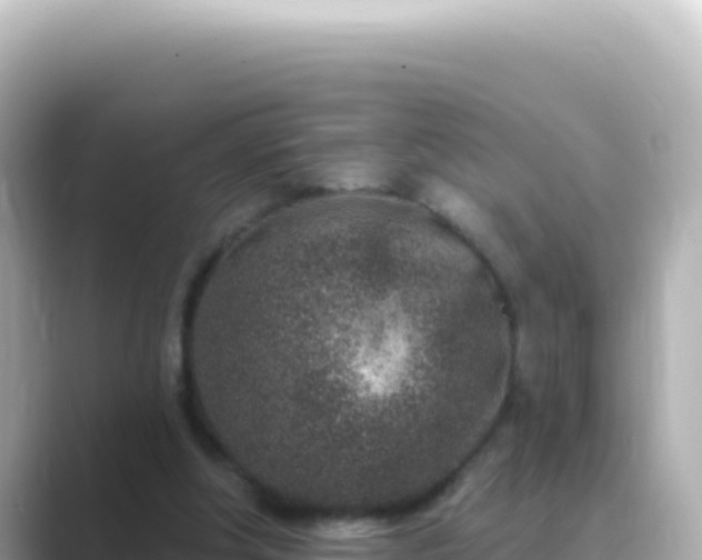 X0000089440202200706221235