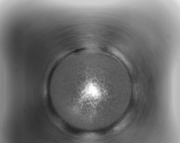 X0000089440203200706221235
