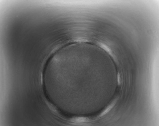X0000089440205200706221235