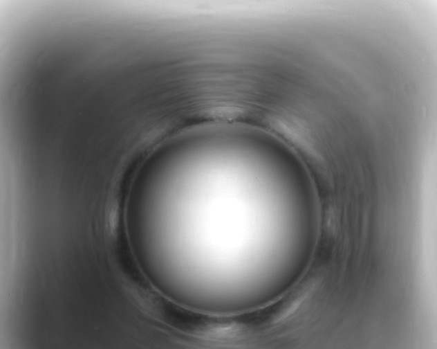 X0000089440206200706221235