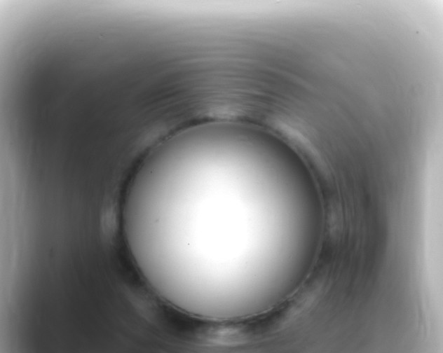X0000089440208200706221235