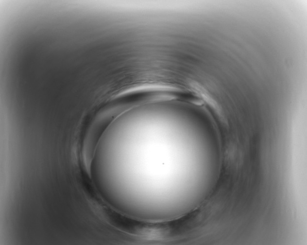 X0000089440209200706221235