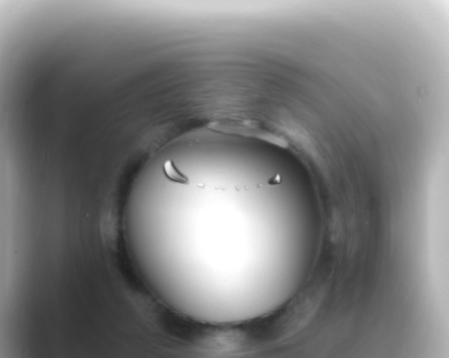 X0000089440210200706221235