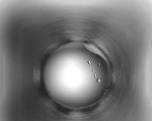 X0000089440211200706221235