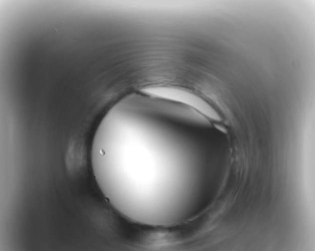 X0000089440212200706221235