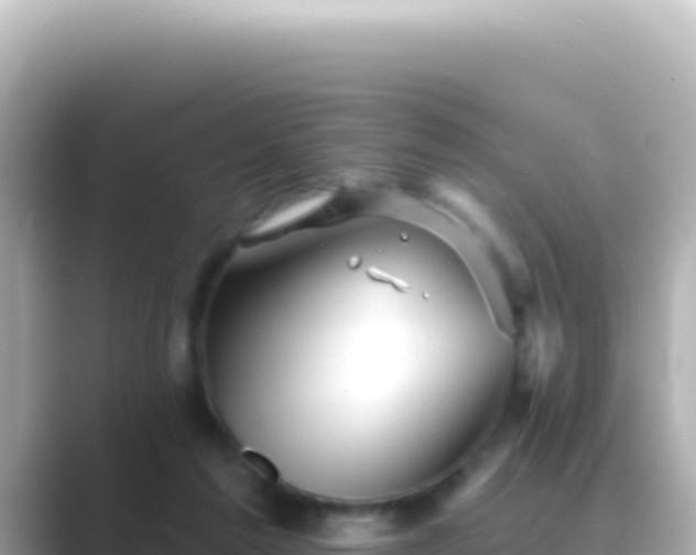 X0000089440213200706221235