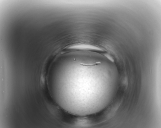 X0000089440214200706221235