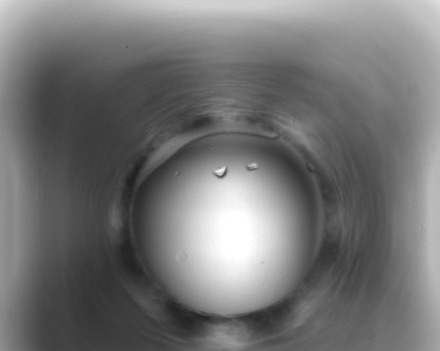 X0000089440215200706221235