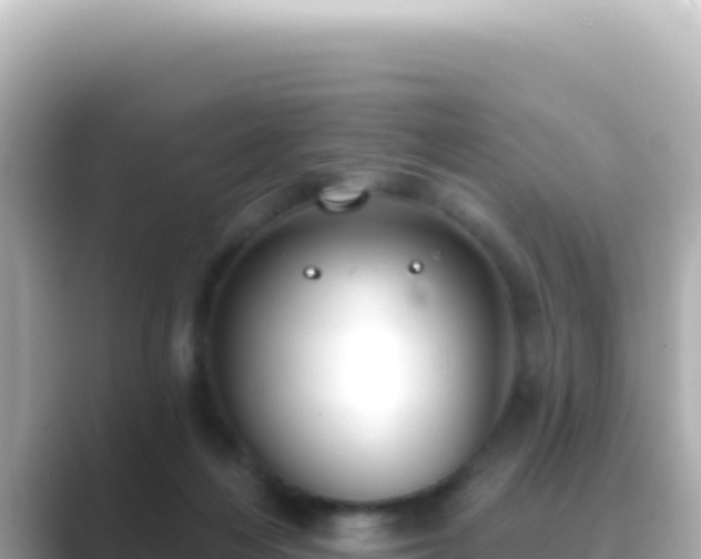 X0000089440216200706221235