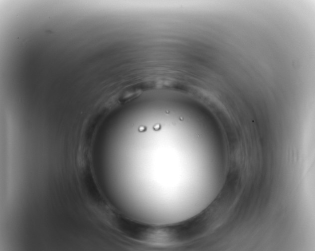 X0000089440218200706221235