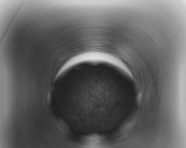 X0000089440219200706221235