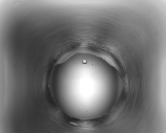 X0000089440221200706221235