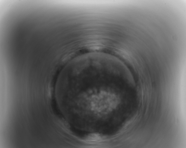 X0000089440227200706221235