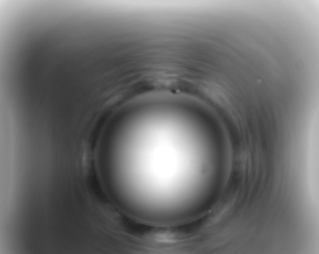X0000089440228200706221235