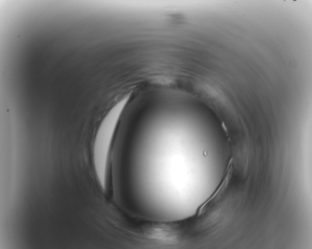 X0000089440229200706221235