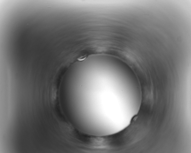 X0000089440230200706221235