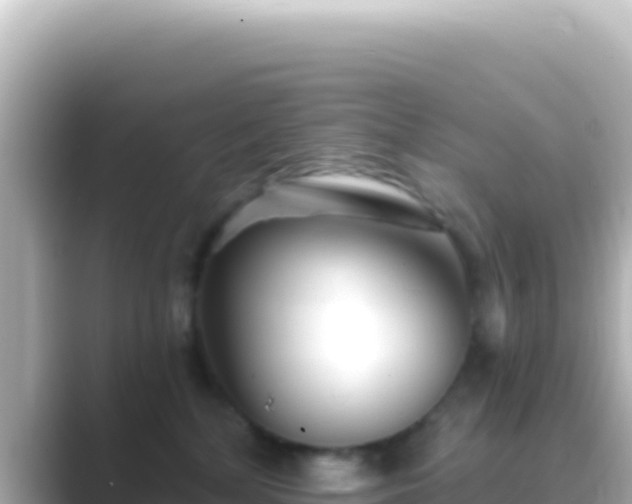 X0000089440232200706221235