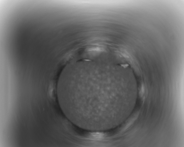 X0000089440233200706221235
