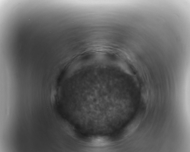 X0000089440235200706221235