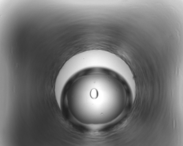 X0000089440237200706221235
