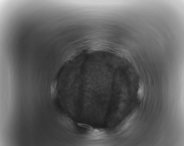 X0000089440239200706221235
