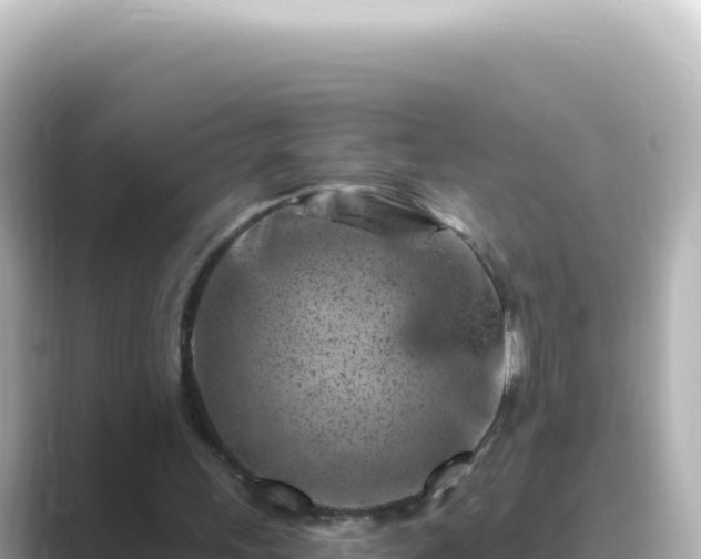 X0000089440243200706221234